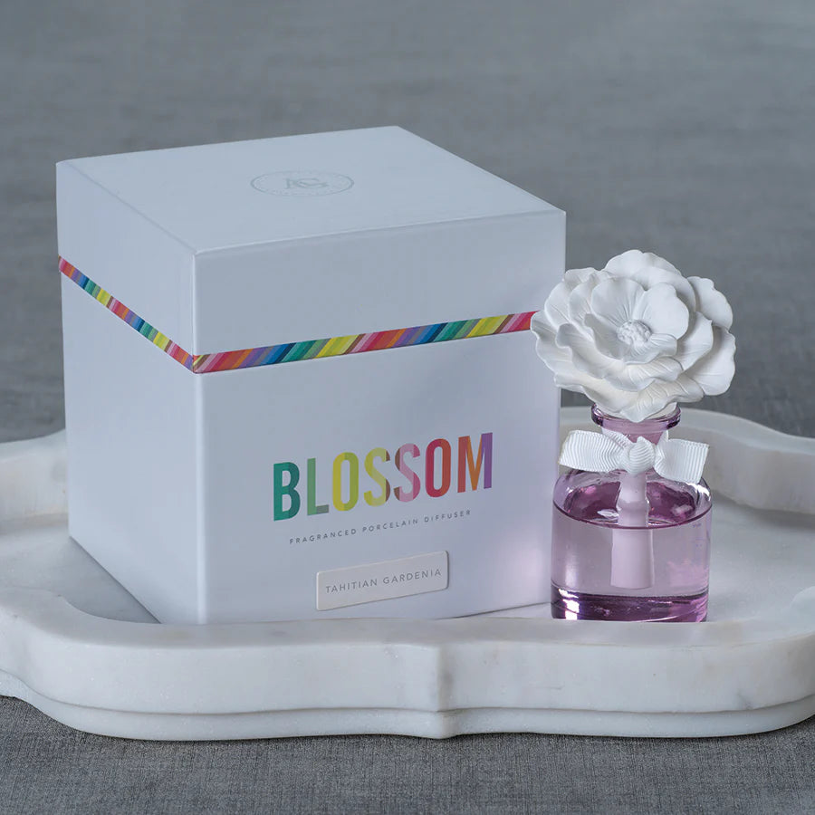 Zodax Blossom Fragranced Porcelain Diffuser – Aqua Waters